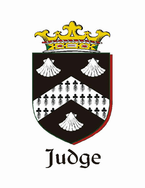 Judge Irish Coat of Arms Celtic Interlace Disk Pendant ~ IP06