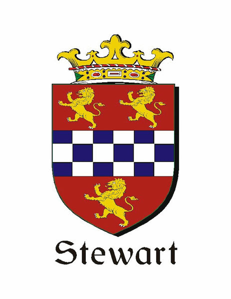 Stewart Irish Coat of Arms Celtic Interlace Disk Pendant ~ IP06