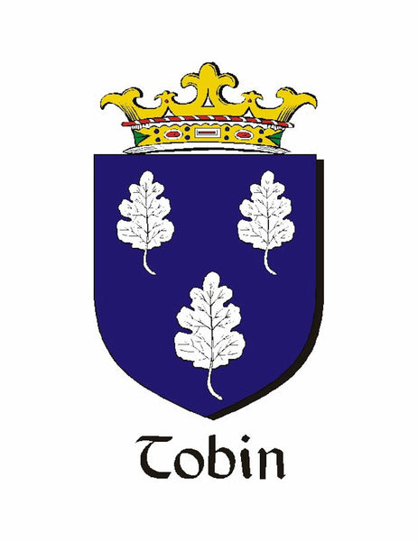 Tobin Irish Coat of Arms Celtic Interlace Disk Pendant ~ IP06