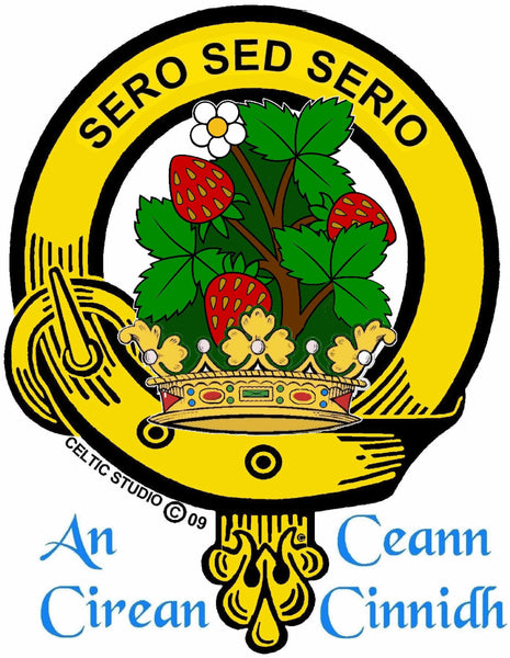 Gayre Clan Crest Celtic Interlace Disk Pendant, Scottish Family Crest  ~ CLP06