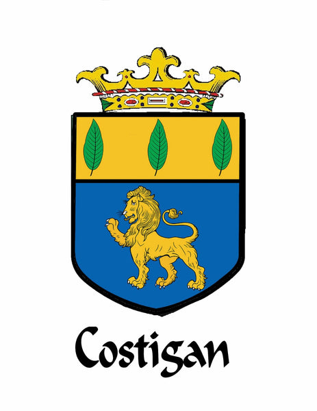 Costigan Interlace Irish Disk Coat of Arms Sgian Dubh, Irish Knife ~ ISDCO