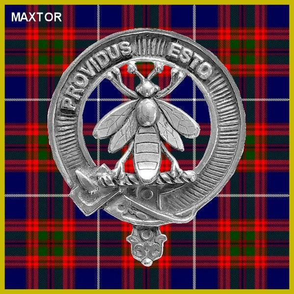 Maxtor Crest Regular Buckle