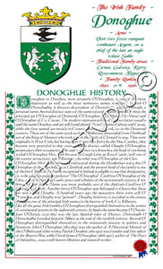 Donoghue Irish Family History