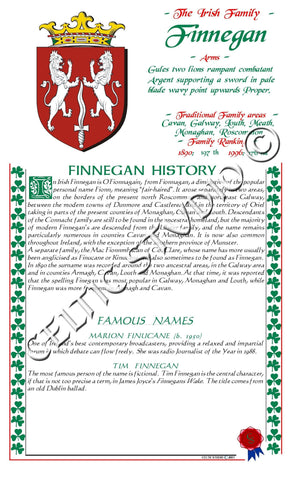 Finnegan Irish Family History