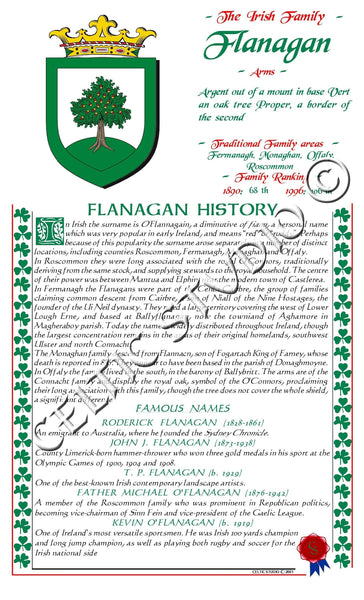 Flanagan Irish Family History