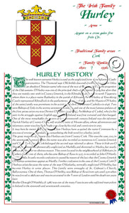 Hurley Irish Family History