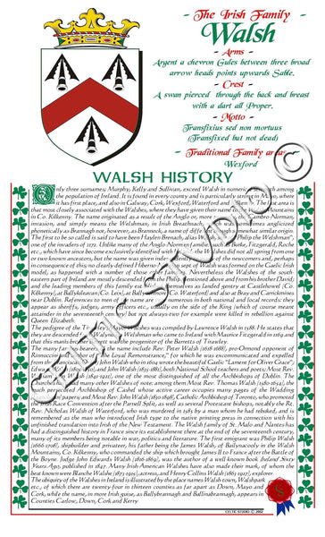 Walsh Irish Family History