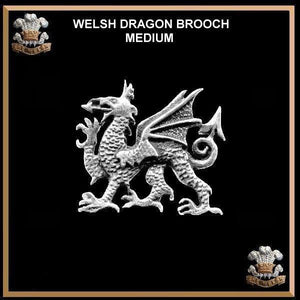 Welsh Dragon Brooch Symbol Of Wales Pin