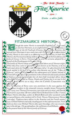 Fitzmaurice Irish Family History