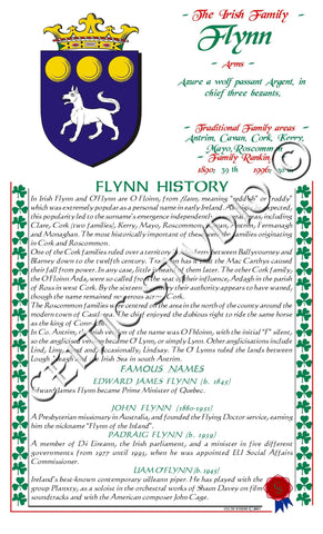 Flynn Irish Family History
