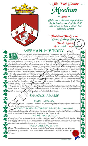 Meehan Irish Family History