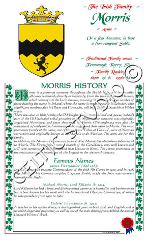 Morris Irish Family History